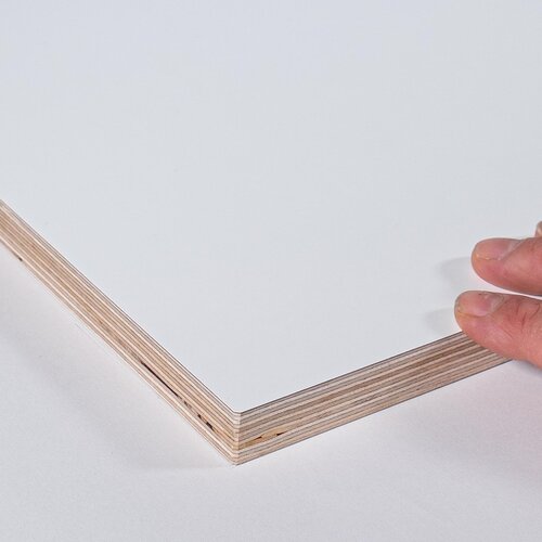 Birkensperrholzplatte beschichtet